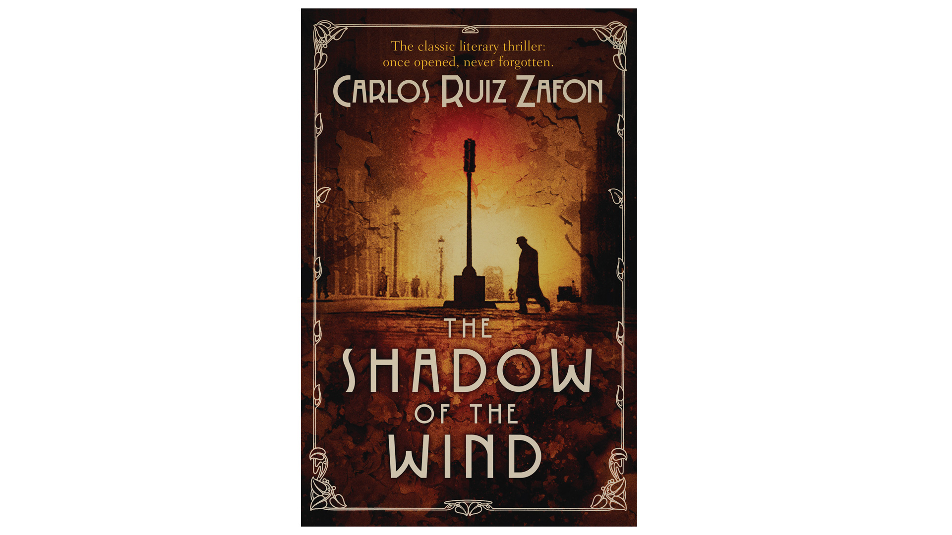 The Shadow of the Wind [Book]