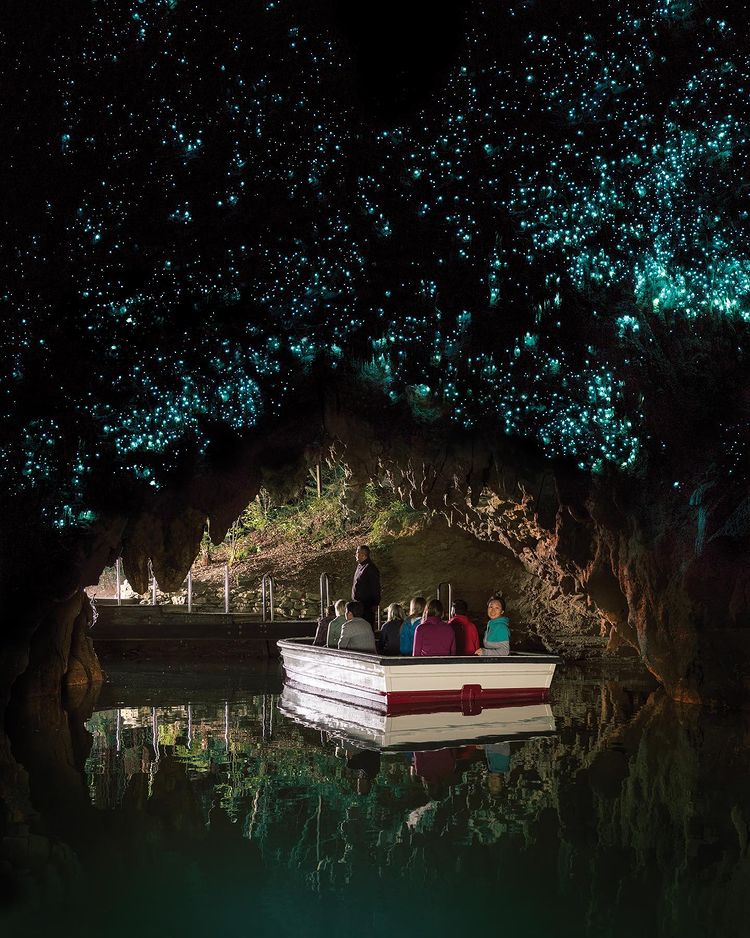 Waitomo Cave
