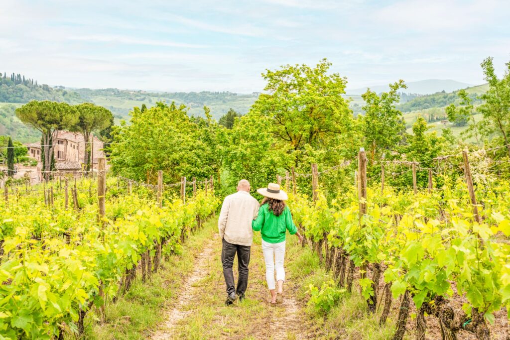 Two people, shown from behind, walk arm in arm through a bright green vineyard, towards a blue sky and fields, she is wearing a bright green jacket and him a white one.