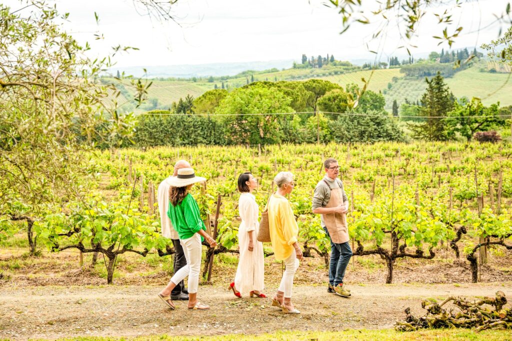 Fausto of Guardastelle Estate takes visitors on a taste of Tuscany as they walk through the bright green vineyards, wearing colourful summer clothes, green fields extending in the background.