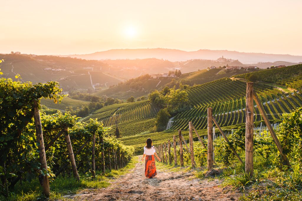 Woman walking in vineyards at sunset, Piedmont, Italy