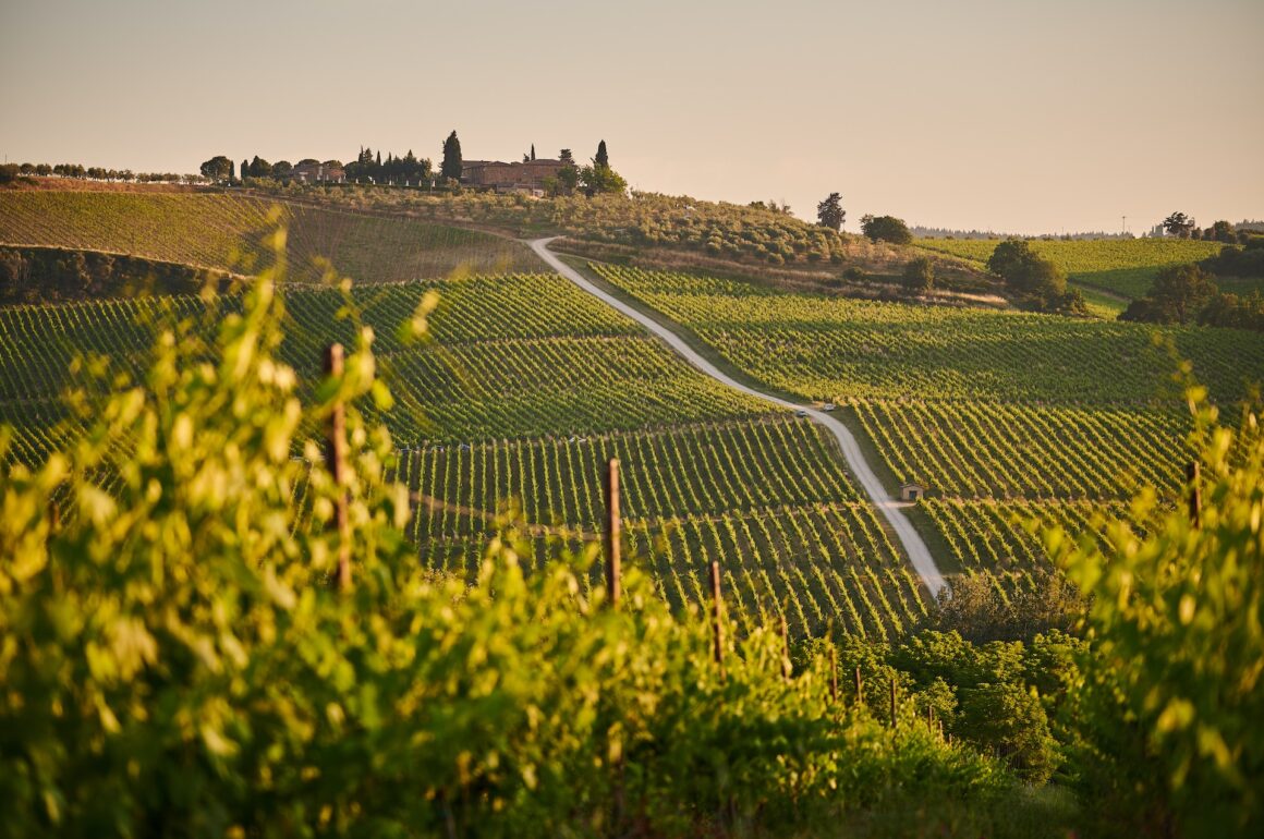 Hilltop winery, surrounded by vineyards in Tuscany