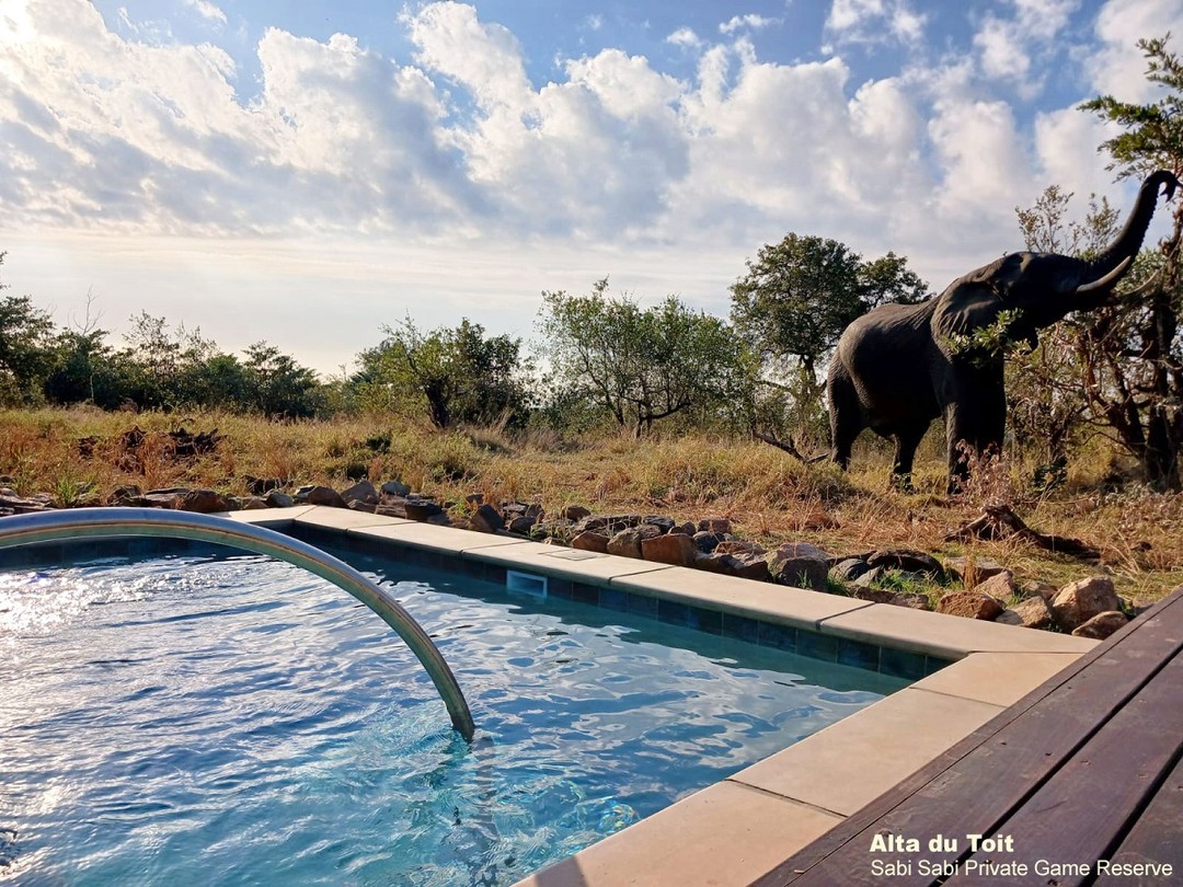 View of private pool with elephant at sari sari game reserve, South Africa