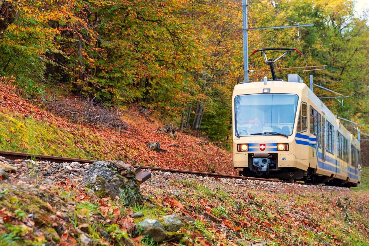 The Centovalli Railway train on track with autumnal trees in background