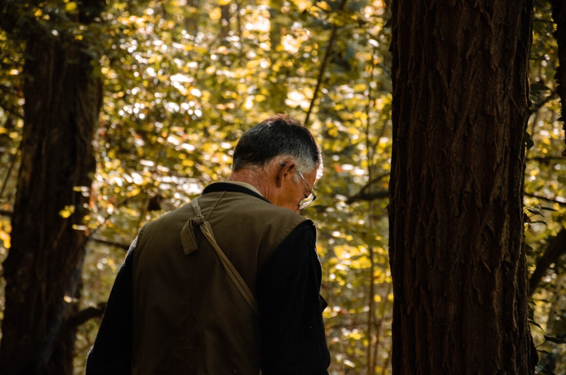 Man walking through a forest, looking down