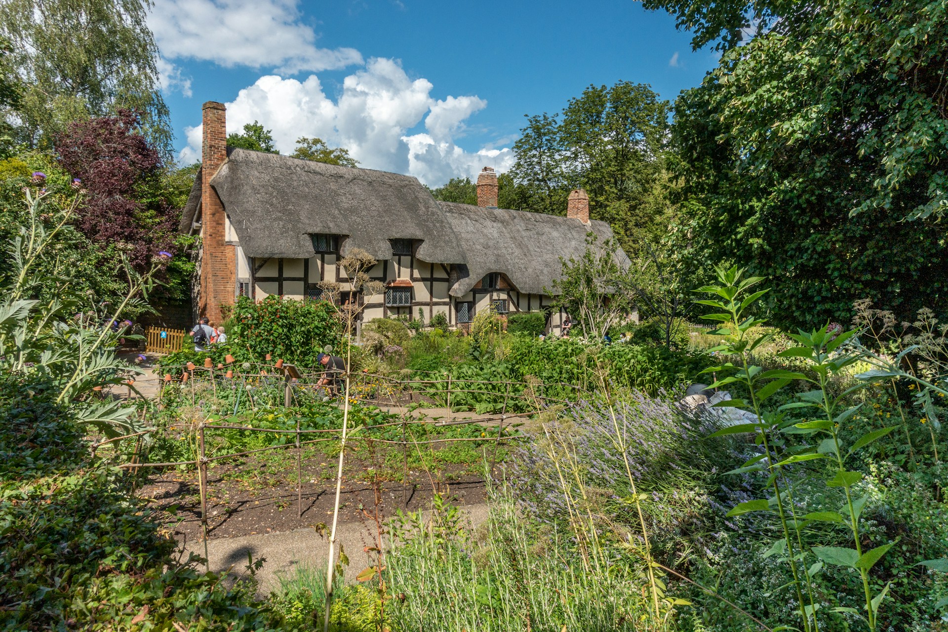 Photo of Anne Hathaway's thatched cottage in Stratford-Upon-Avon, surrounded by green gardens
