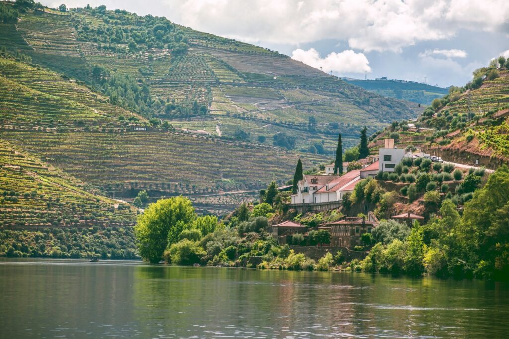 vineyard-clad hills flanking the Douro River Portugal
