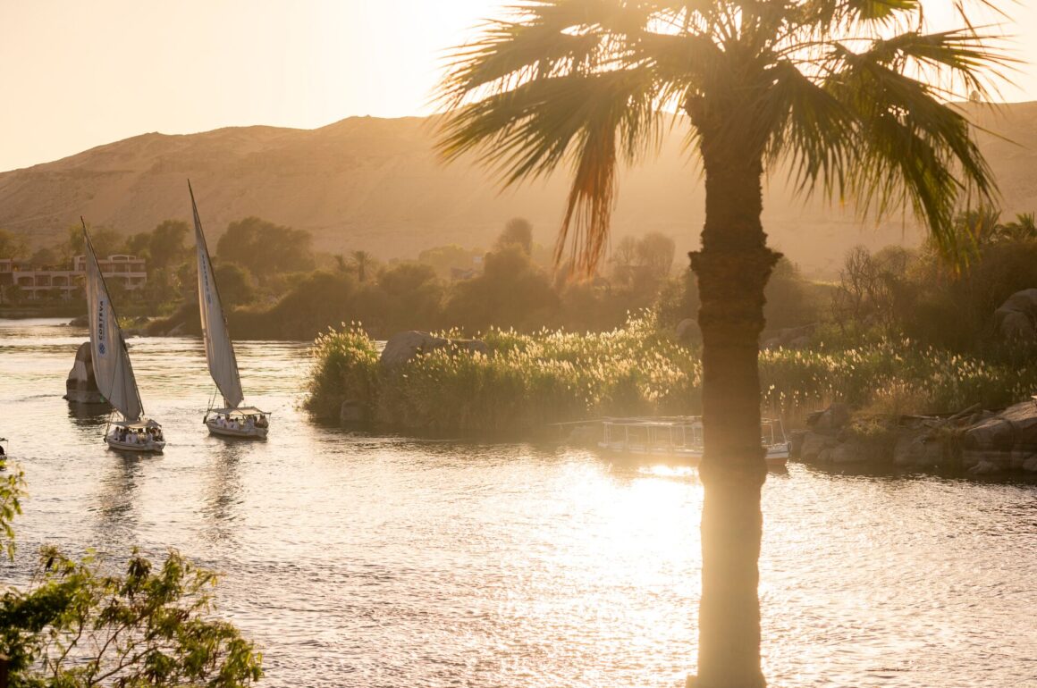 Two felucca sail boats on the river Nile, seen with sunlight shining golden on the water
